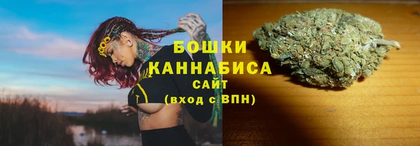 PSILOCYBIN Балабаново