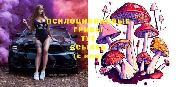 сатива Балахна