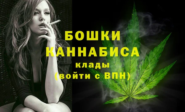 PSILOCYBIN Балабаново