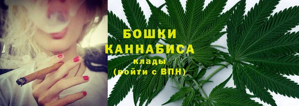 PSILOCYBIN Балабаново