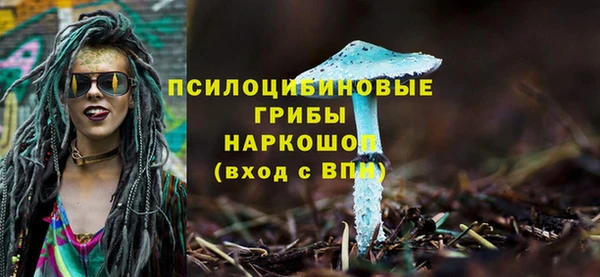 PSILOCYBIN Балабаново
