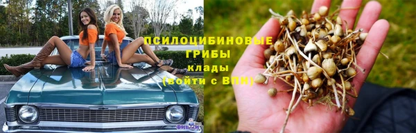 PSILOCYBIN Балабаново