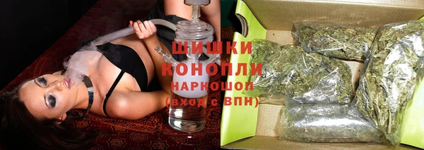 PSILOCYBIN Балабаново