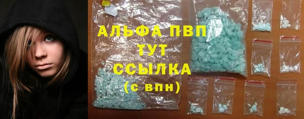 сатива Балахна